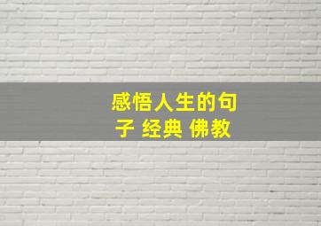 感悟人生的句子 经典 佛教